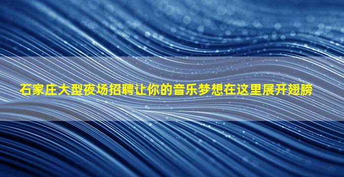 石家庄大型夜场招聘让你的音乐梦想在这里展开翅膀